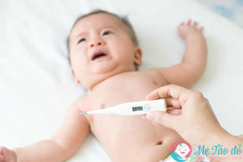 Khi trẻ sơ sinh bị sốt phải làm sao?