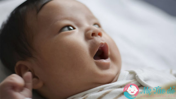 sự phát triển của tre sơ sinh thông qua sự năng động của bé